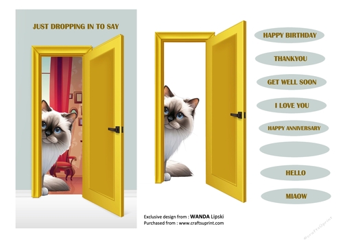 JUST DROPPING IN PEEKING MOGGIES - BIRMAN