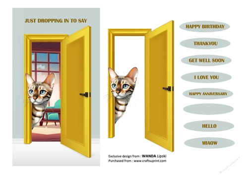 JUST DROPPING IN PEEKING MOGGIES - BENGAL