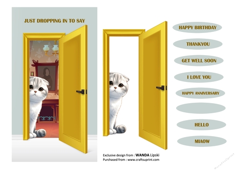 JUST DROPPING IN PEEKING MOGGIES - SCOTTISH FOLD