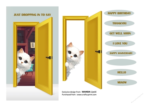 JUST DROPPING IN PEEKING MOGGIES - TURKISH VAN