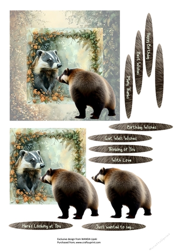 HERES LOOKING AT YOU WOODLAND BADGER ALL OCCASIONS CARD FRONT