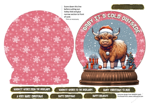 HAIRY HIGHLANDS CHRISTMAS SNOWGLOBE
