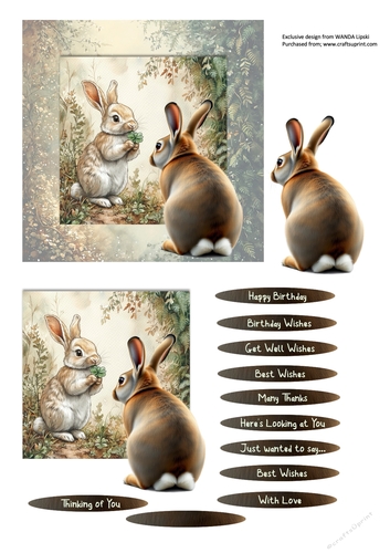HERES LOOKING AT YOU WOODLAND RABBIT ALL OCCASIONS CARD FRONT 