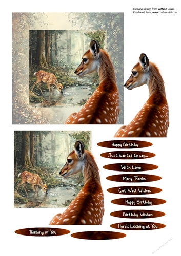 HERES LOOKING AT YOU WOODLAND DEER ALL OCCASIONS CARD FRONT 