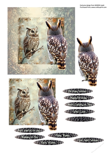HERES LOOKING AT YOU WOODLAND OWL ALL OCCASIONS CARD FRONT 