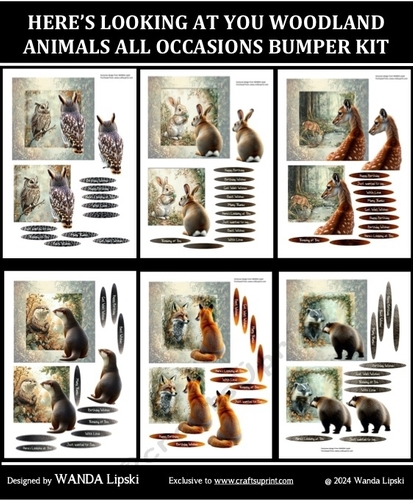 HERES LOOKING AT YOU WOODLAND ANIMALS ALL OCCASIONS BUMPER KIT