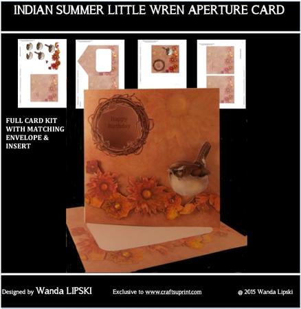 Indian Summer Aperture Card
