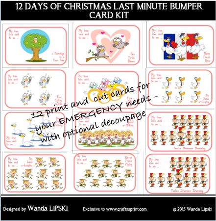 12 Days of Christmas Last Minute Bumper Card Kit