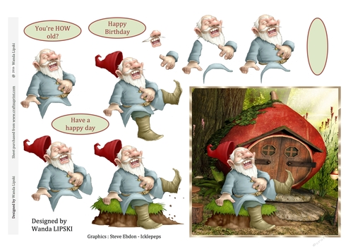 YOURE HOW OLD BIRTHDAY GNOME CARD FRONT