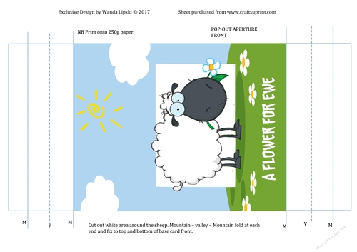 LOOKING SHEEPISH POP-OUT APERTURE CARD ADD-ON - ANY OCCASION FRONT