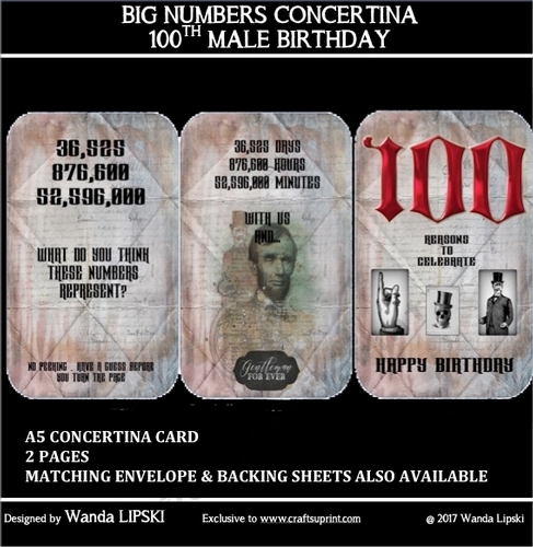 BIG NUMBERS CONCERTINA 100TH MALE BIRTHDAY