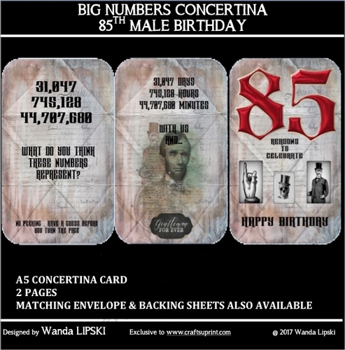 BIG NUMBERS CONCERTINA 85TH MALE BIRTHDAY