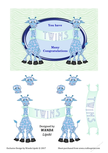 BIRTH CONGRATULATIONS TWIN BOY GIRAFFES