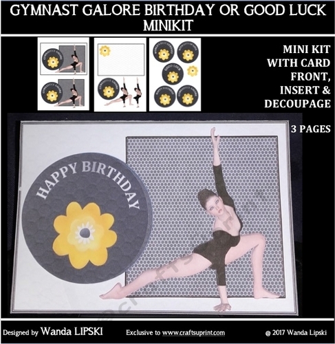 GYMNASTICS GALORE CARD FRONT MINIKIT
