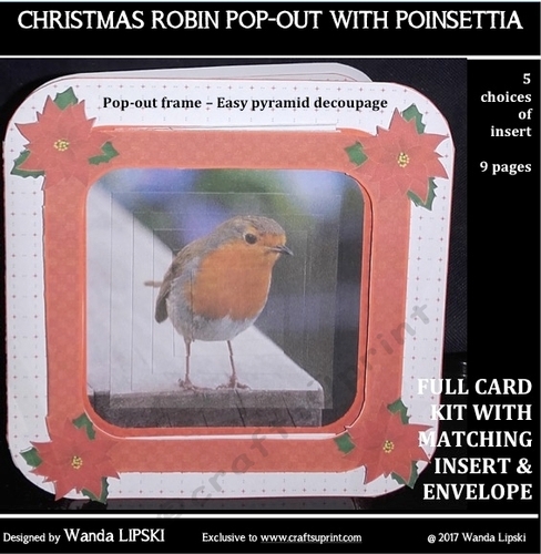 CHRISTMAS ROBIN POP-OUT FRAME CARD WITH POINSETTIA