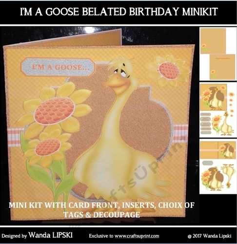 IM A GOOSE BELATED, BIRTHDAY OR SORRY CARD