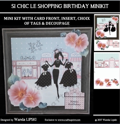 8 x 8 SI CHIC LE SHOPPING BIRTHDAY MINIKIT