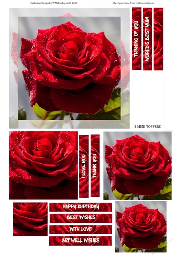 RED ROSE SHADOW ALL OCCASIONS TOPPER