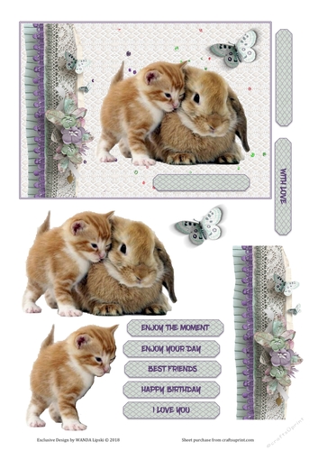 UNLIKELY LOVE 1 CUTE ANIMALS BIRTHDAY OR LOVE CARD FRONT