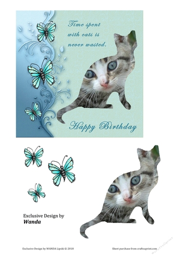 TIME SPENT WITH A CAT BIRTHDAY TOPPER