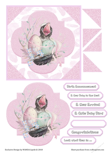 NEW BABY BIRD IN THE NEST (GIRL)