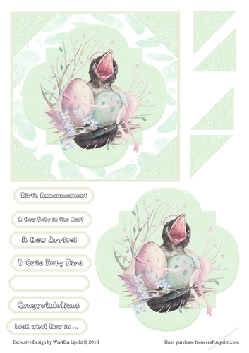 NEW BABY BIRD IN THE NEST (BOY OR GIRL)