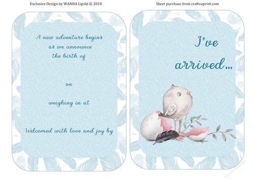 BABY BIRD BIRTH ANNOUNCEMENT BOY