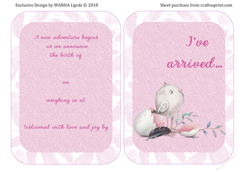 BABY BIRD BIRTH ANNOUNCEMENT GIRL