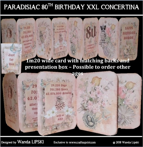 MY MUMS 80TH BIRTHDAY XXL CONCERTINA CARD KIT