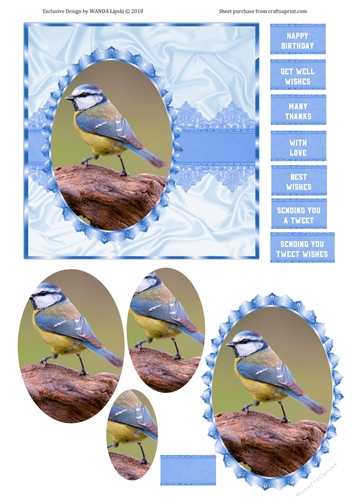 BLUE TIT PYRAMID STEP BY STEP ALL OCCASIONS TOPPER