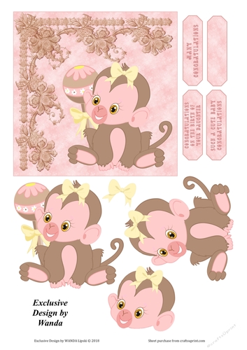 BABY MONKEY BIRTH CONGRATULATIONS GIRL