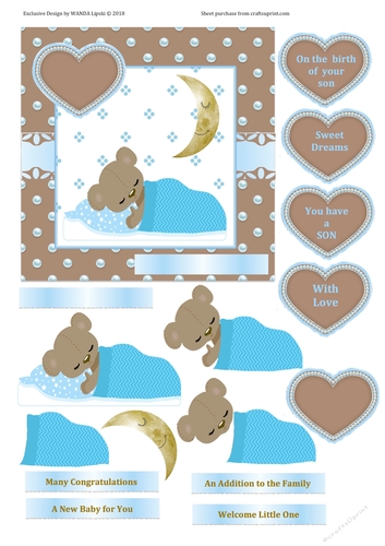 SLEEPING BABY BEAR BIRTH CONGRATULATIONS BOY 1