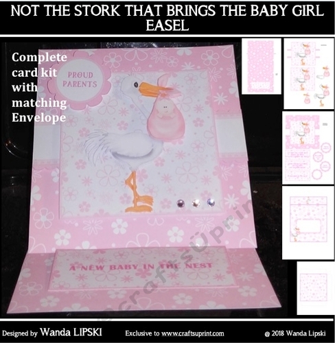 NOT THE STORK THAT BRINGS THE BABY GIRL BIRTH CONGRATULATIONS EASEL