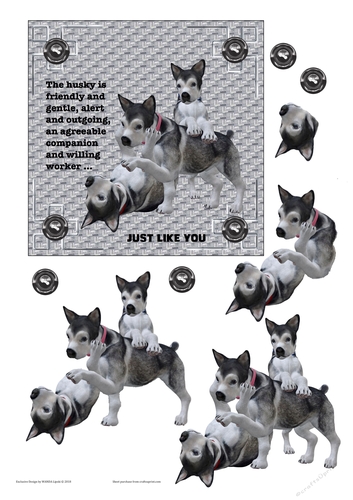 JUST LIKE YOU HUSKY 1 