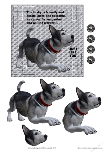 JUST LIKE YOU HUSKY 2 