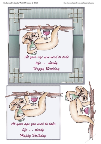 AT YOUR AGE SLOTH BIRTHDAY CARD FRONT