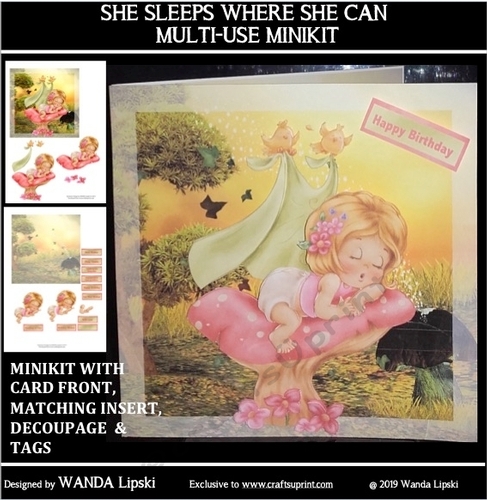 SHE SLEEPS WHERE SHE CAN ALL OCCASIONS MINIKIT