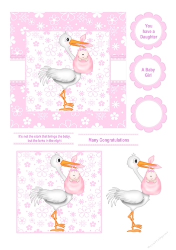NOT THE STORK THAT BRINGS THE BABY GIRL BIRTH CARD FRONT TOPPER