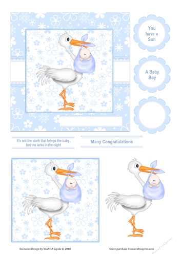 NOT THE STORK THAT BRINGS THE BABY BOY BIRTH CARD FRONT TOPPER