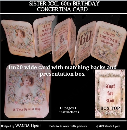 SISTER 60th XXL BIRTHDAY CONCERTINA CARD KIT