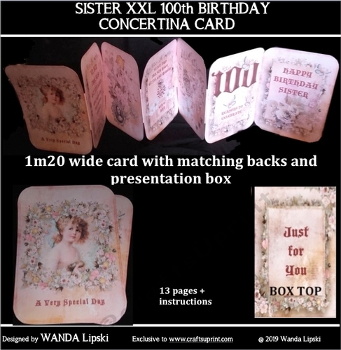 SISTER 100TH XXL CONCERTINA BIRTHDAY CARD