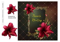 8 x 8 Red Amaryllis Christmas Card Front