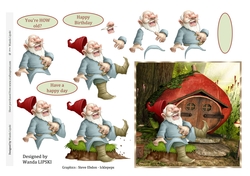 YOURE HOW OLD BIRTHDAY GNOME CARD FRONT