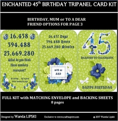 ENCHANTED 45TH BIRTHDAY TRIPANEL CARD KIT