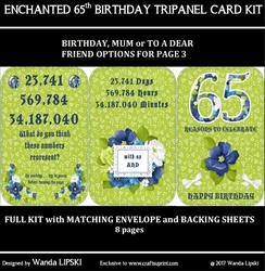 ENCHANTED 65TH BIRTHDAY TRIPANEL CARD KIT