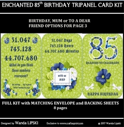 ENCHANTED 85TH BIRTHDAY TRIPANEL CARD KIT