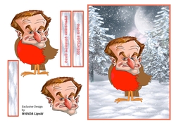 CHRISTMAS ROBIN CELEBRITY CARD FRONT