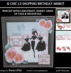 8 x 8 SI CHIC LE SHOPPING BIRTHDAY MINIKIT