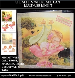 SHE SLEEPS WHERE SHE CAN ALL OCCASIONS MINIKIT
