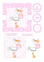 NOT THE STORK THAT BRINGS THE BABY GIRL BIRTH CARD FRONT TOPPER